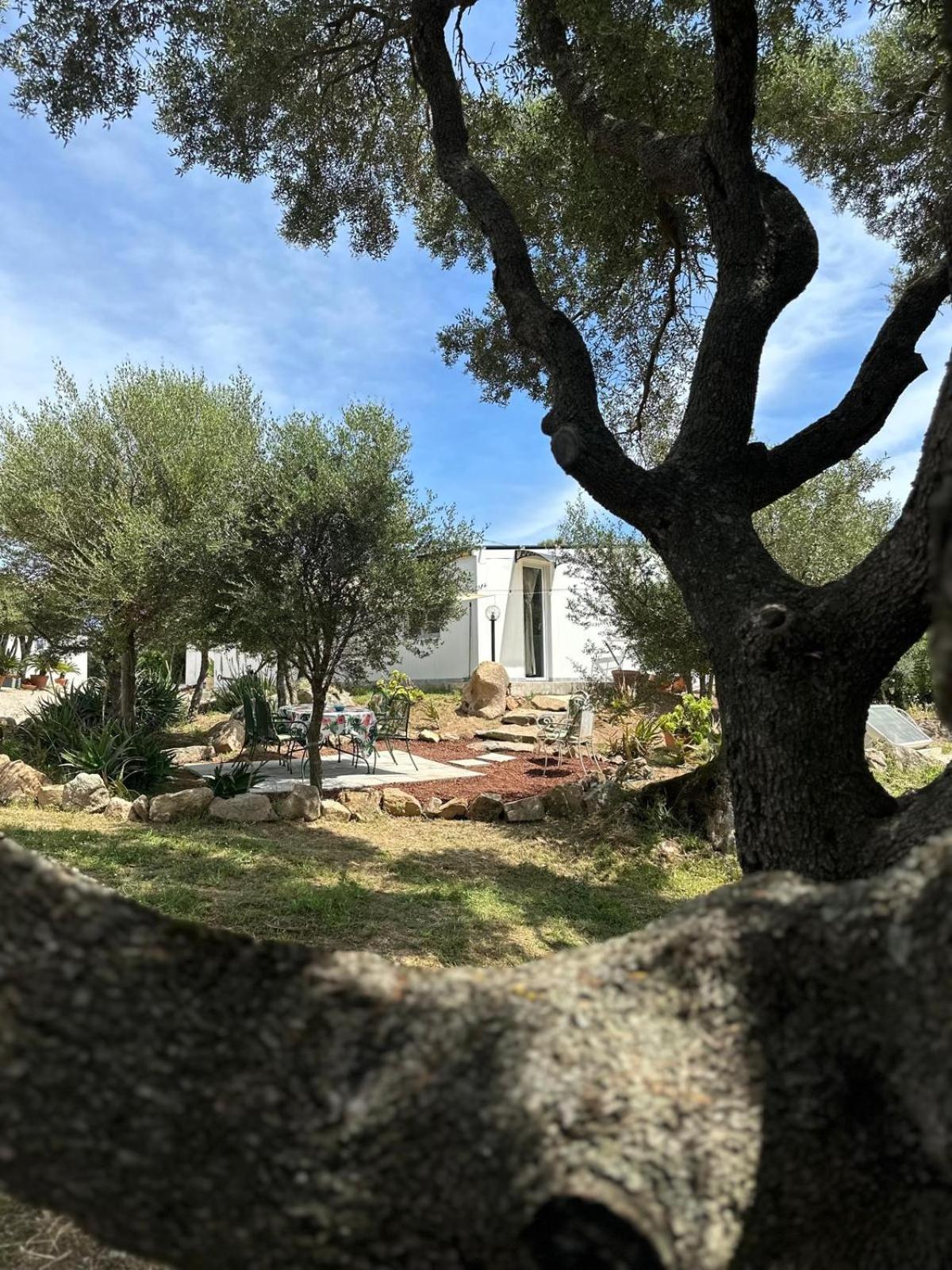 Villa Casa Mariposa Porto Rotondo à Rudalza Extérieur photo